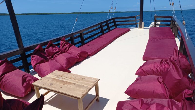 Bateau privatisé standard - espace commun