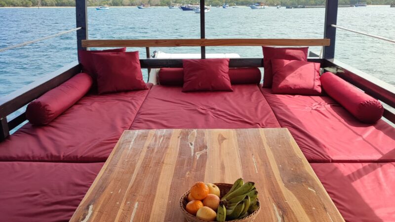 Bateau privatisé standard - espace commun