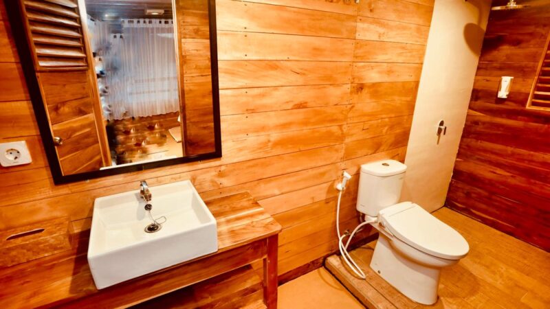 Bateau privatisé supérieur - salle de bain2