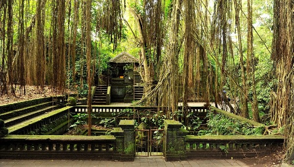 La forêt des singes d'Ubud