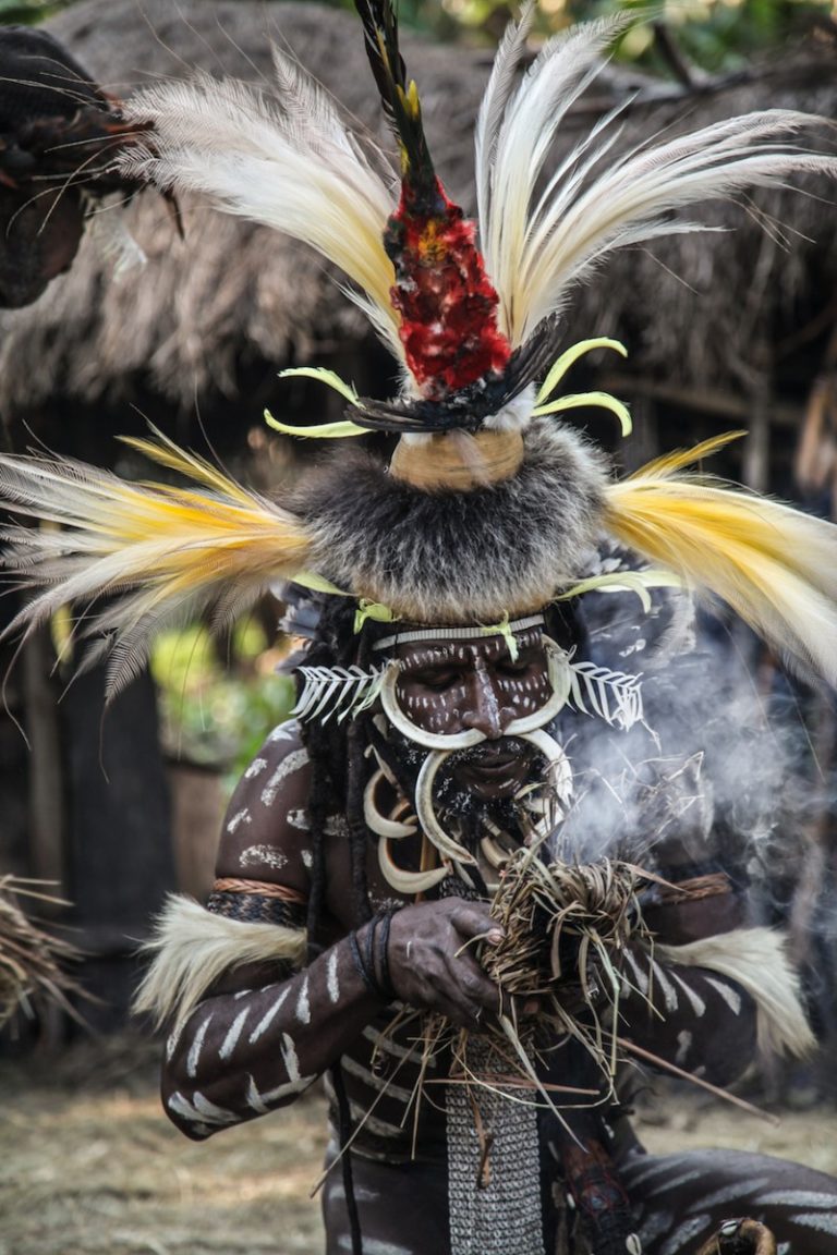 Un papou en costume traditionnel en vallée de Baliem