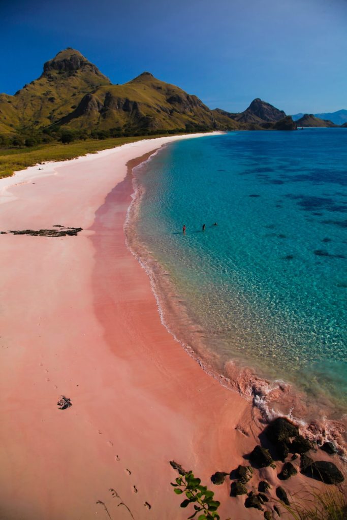 Une plage rose dans l'archipel de Komodo