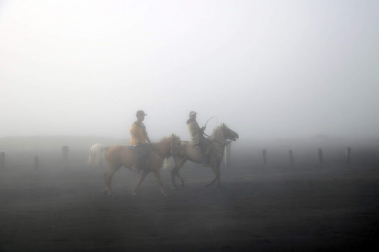 Des chevaux dans la brume au mont Bromo