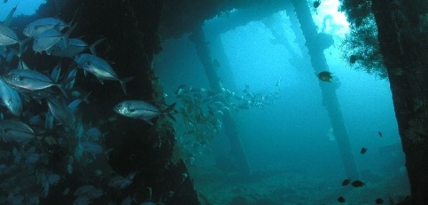 Plongée sous-marine dans l'épave de Kubu à Bali