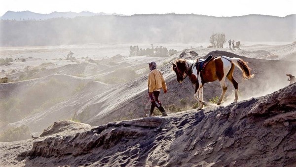 Un homme et son cheval sur le volcan Bromo