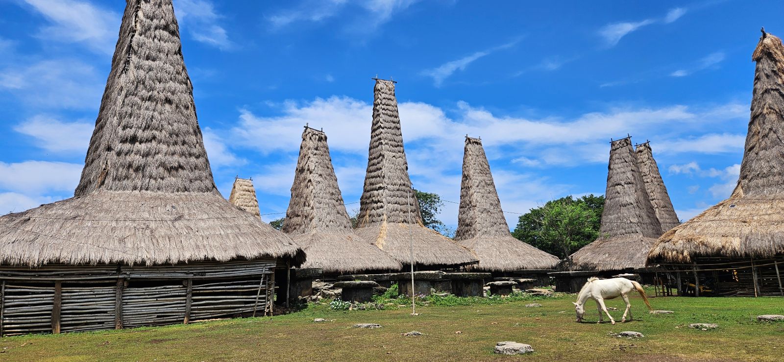 Maisons traditionnelles de Ratenggaro avec un cheval à Sumba