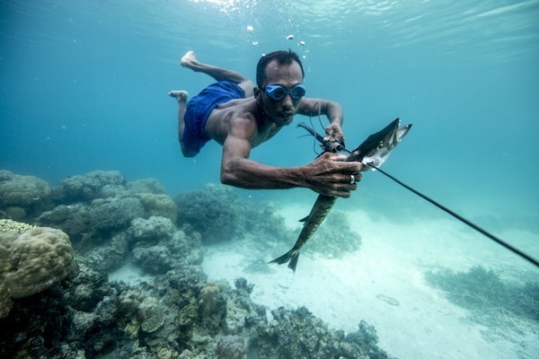 Un pêcheur de la tribu Bajau attrape un poisson à Sulawesi