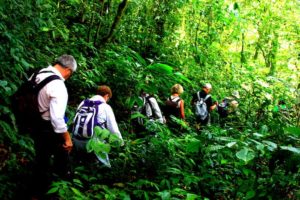 Nos activités pour votre voyage sur mesure