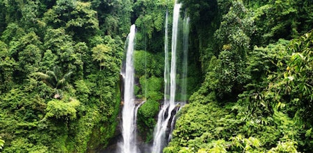 Une cascade à Bali en Indonésie
